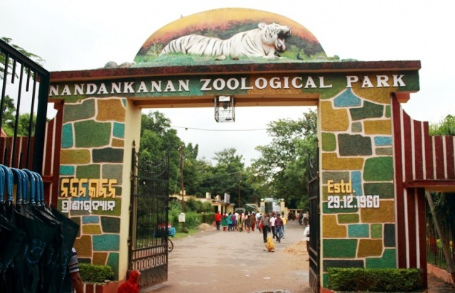 Nandankanan Zoological Park in Bhubaneswar records Highest Ever footfall. Around 34 lakh people visited the zoo till February-end of this fiscal.
