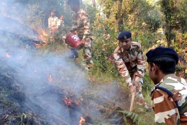 Fire erupts in forests of Uttarkashi, ITBP engaged in dousing flames1
