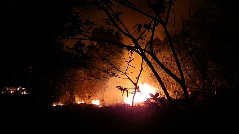 Forest Fire Mayurbhanj Similipal