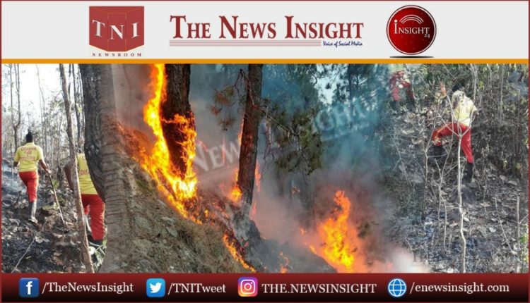 Odisha Govt forms Task Force for Forest Fire Prevention & Management
