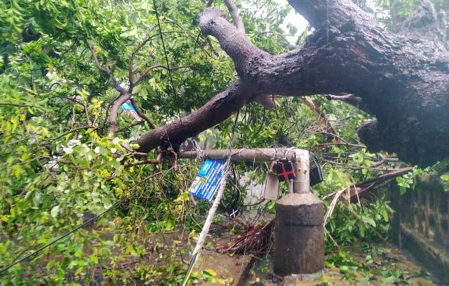 Cyclone Tauktae wreaks havoc across Karnataka, Goa