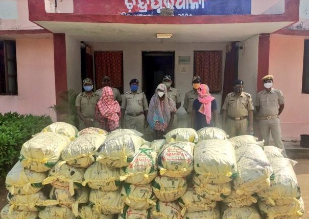 1180 Kg Cannabis worth Rs 1 Crore seized by Chandrapur police in Rayagada district