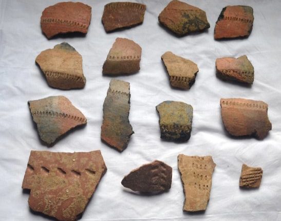Archaeologists find traces of Chalcolithic Era in Odisha’s Balasore