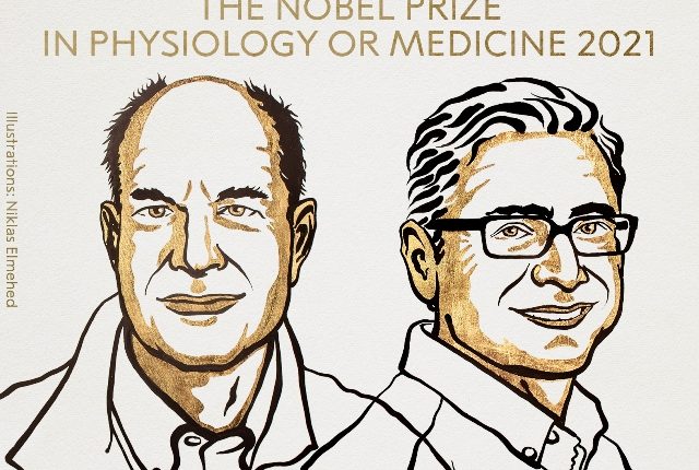 U.S. scientists Julius and Patapoutian win 2021 Nobel Prize in Medicine