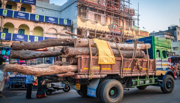 Ratha Jatra: First batch of timber loaded in three trucks reach Puri for chariot construction.