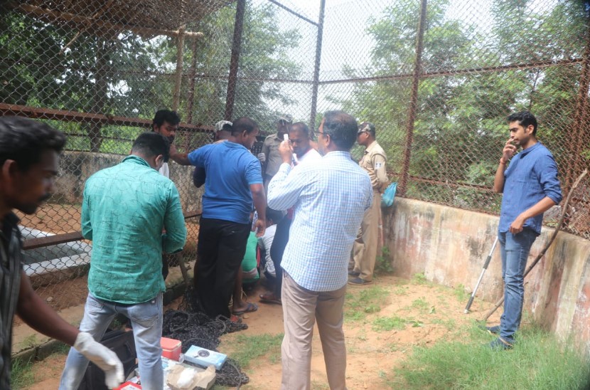 Odisha: African lioness dies of snakebite at Nandankanan Zoo
