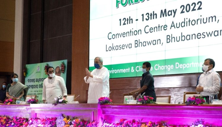 odisha-posts-3rd-biggest-rise-in-forest-cover-in-2019-21