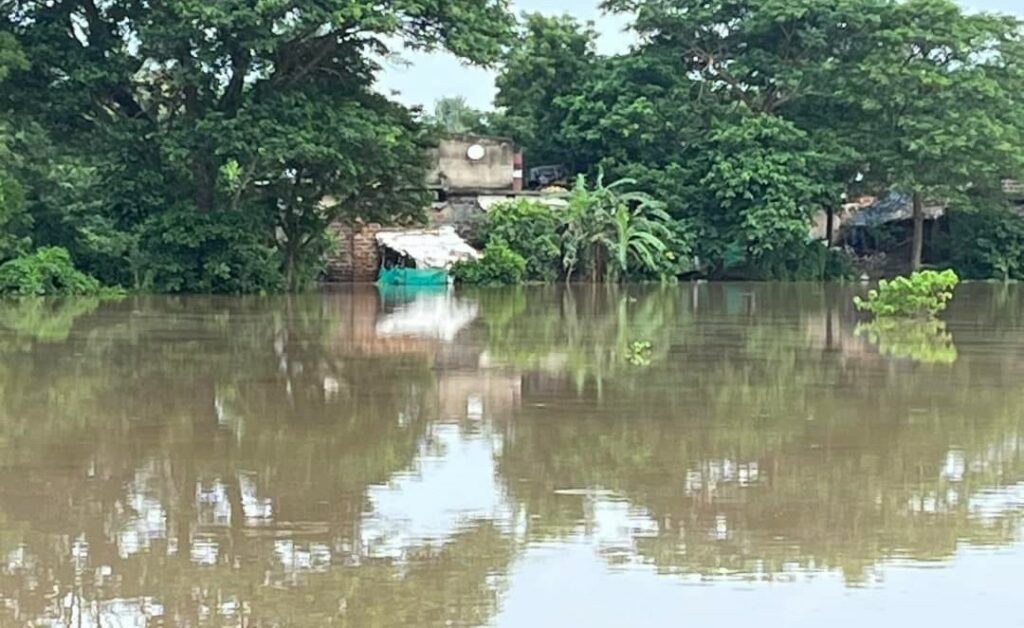Odisha Flood Updates: Situation remains Grim