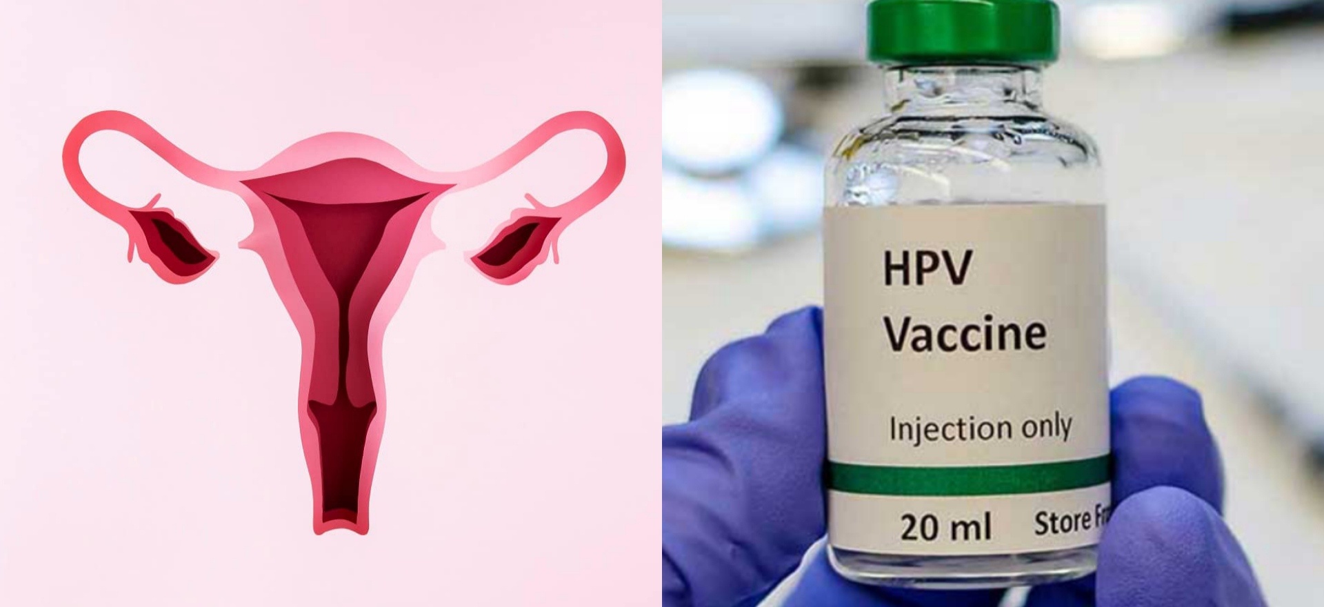 Serum Institute to launch India's first indigenous cervical cancer vaccine  - The News Insight