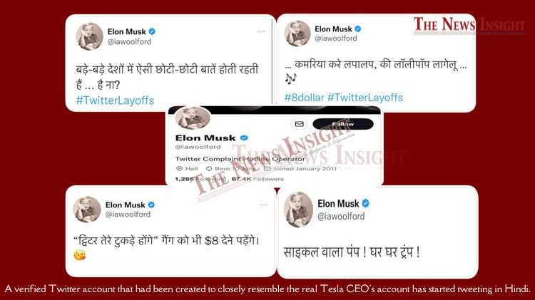 A verified Twitter account that had been created to closely resemble the real Tesla CEO's account has started tweeting in Hindi.