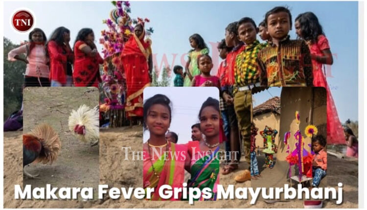 Mayurbhanj Tribals Makara Festiva