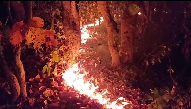 Wildfire gripped Similipal reserve forest in Mayurbhanj district; charred a number of medicinal plants, some large trees and wild animals.