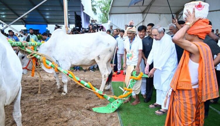 Odisha CM Naveen Patnaik performs ‘Akhi Muthi Anukula’ ritual on the occasion of Akshaya Tritiya at a farm of the OUAT.