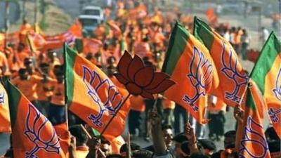 UP BJP leaders to visit LS segments to assess performance of sitting MPs