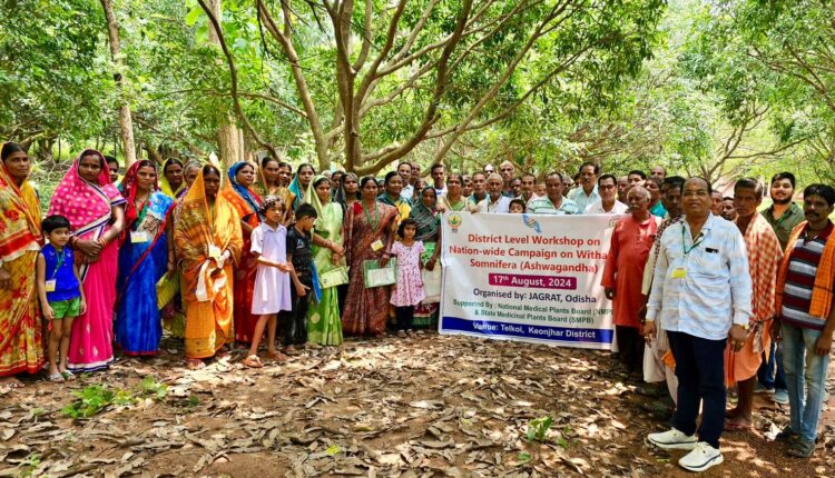 Workshop on cultivation of medicinal herb 'Ashwagandha'