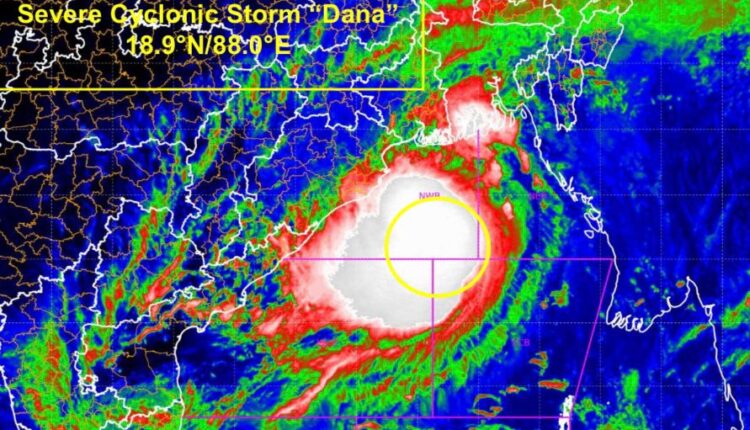 Insight In 60 Words: No Panic on Cyclone, Stay Calm