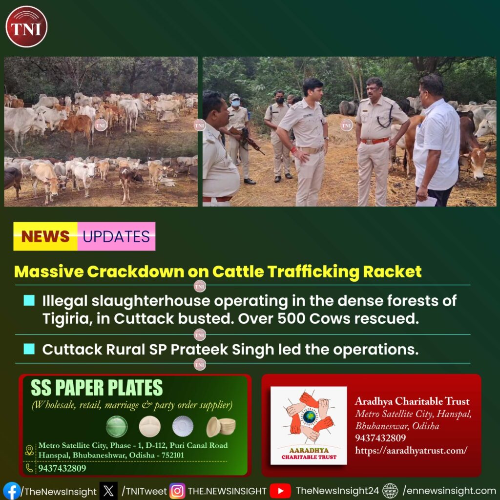 Crackdown on Cattle Trafficking in Cuttack; 500 Cows Rescued