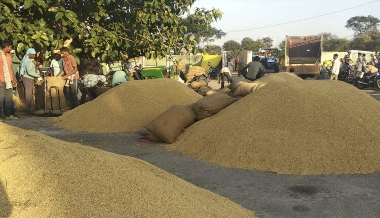 Paddy Procurement Mandi Odisha