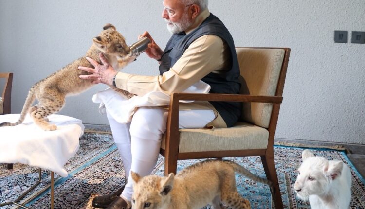 PM Modi inaugurates Vantara, a unique wildlife conservation, rescue and rehabilitation initiative in Jamnagar, Gujarat.