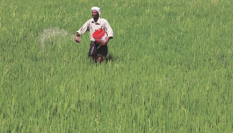 TNI Speaks - Odisha battles Fertiliser Crisis