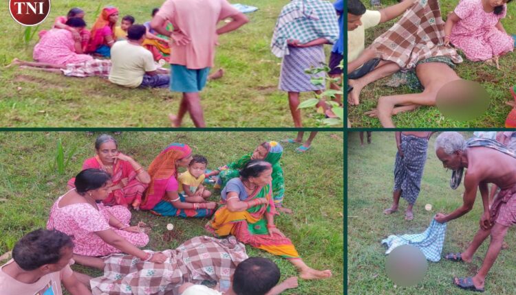 man-animal-conflict-intensifies-in-dhenkanal-hindol