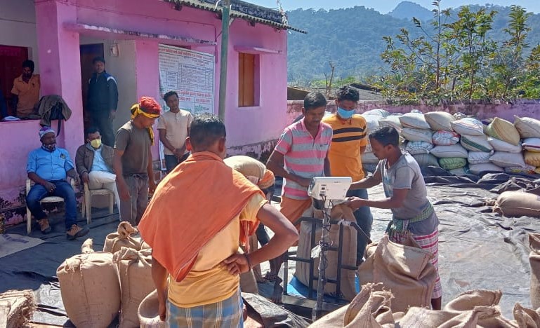 PiN Barta - Key Political & Governance News mandi crisis across Odisha