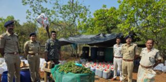 Nisha Mukta Odisha Abhiyan: Major Crackdown on Drug Networks in Koraput