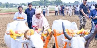 Odisha CM Mohan Majhi offers Akshaya Muthi at the Central Rice Research Centre in Cuttack on the occasion of Akshaya Tritiya.