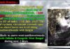 Low-pressure area forms over Bay of Bengal; heavy rain likely across Odisha for next 48 hours. Schools to remain closed in Bhadrak and Puri.